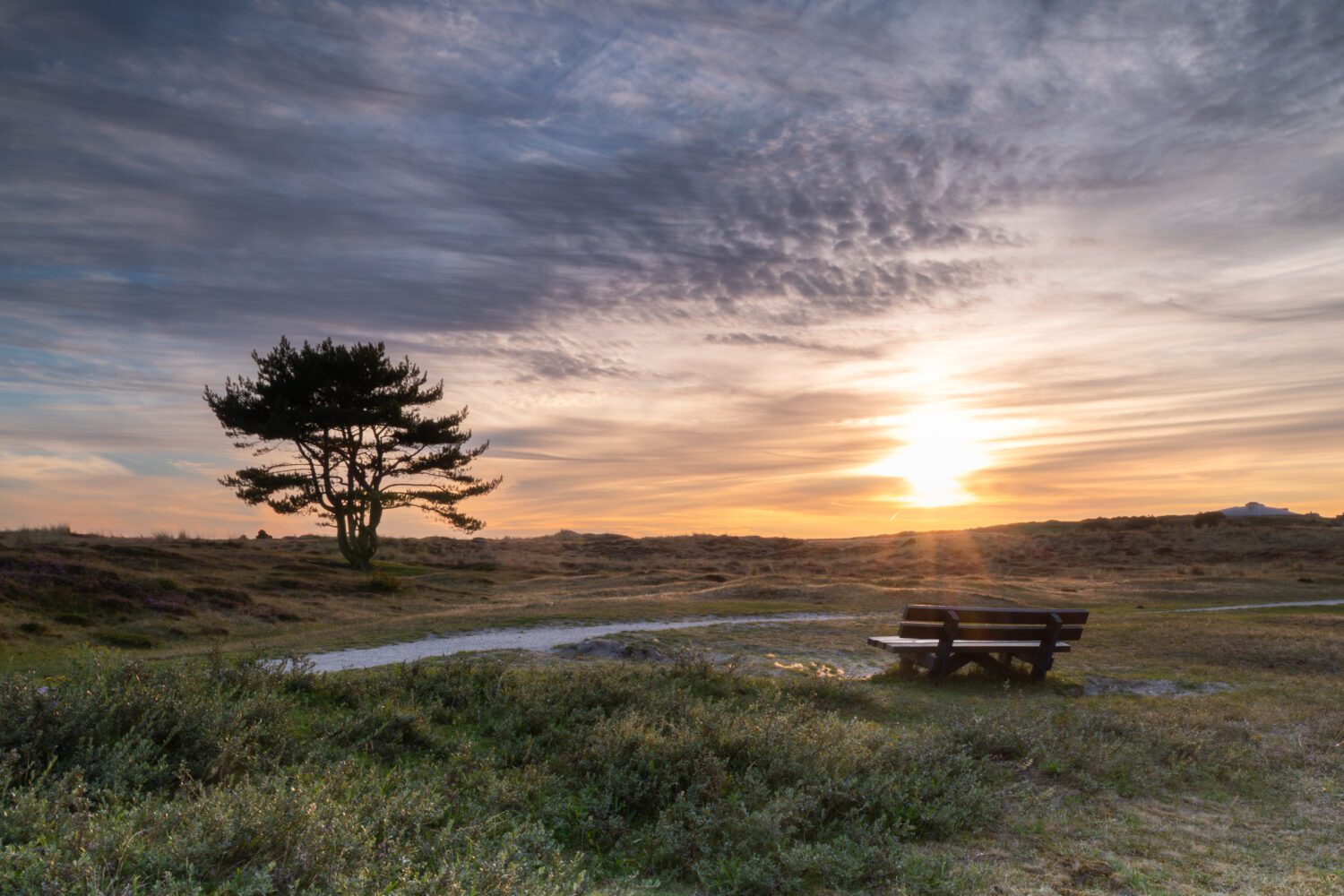 De ondergaande zon geeft de lucht boven de Grafelijkheidsduinen in Den Helder een warme gloed, waar een dennenboom en bankje in de duinen staan