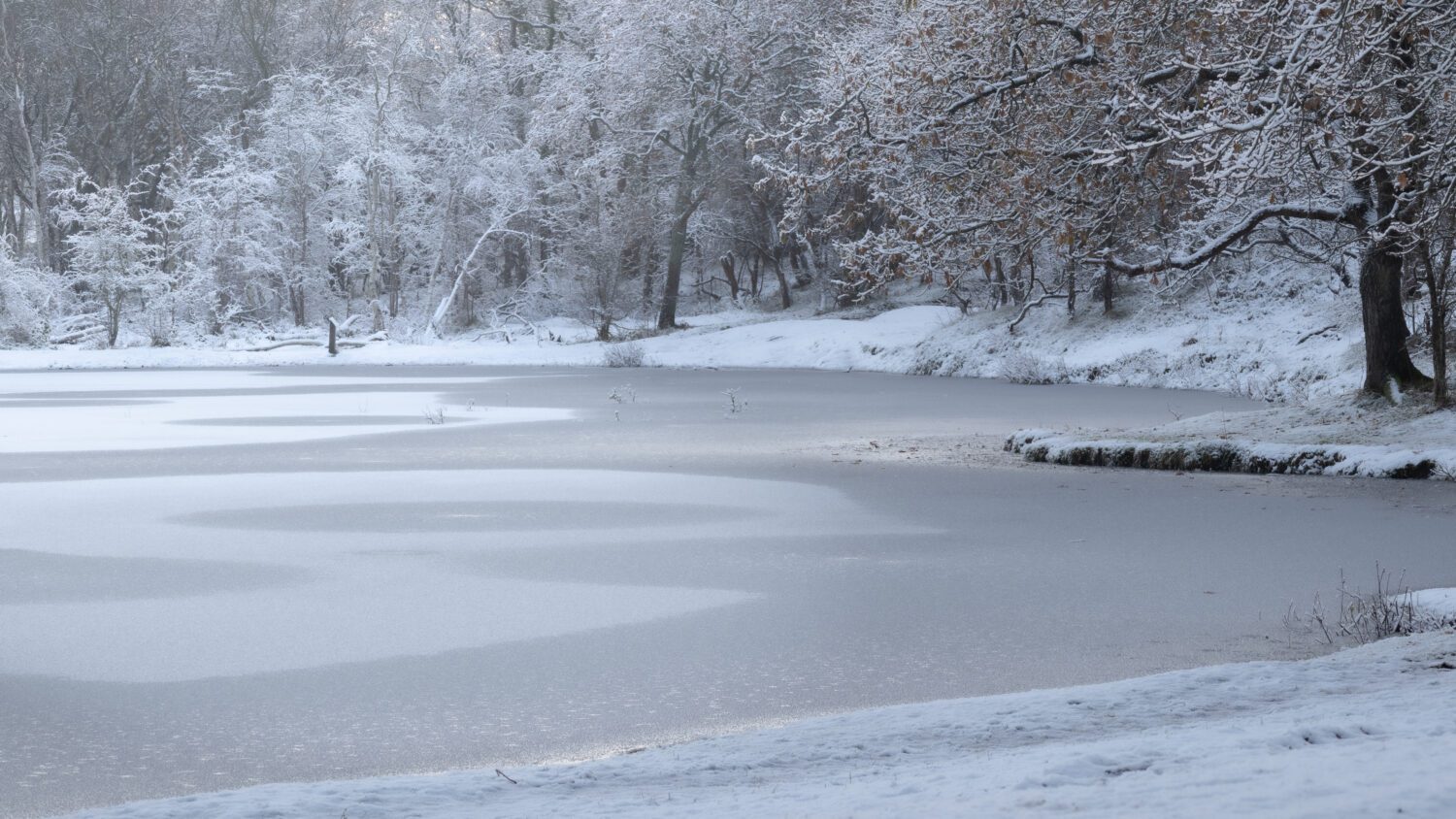 Winters landschap met een bevroren en met sneeuw bedekt duinmeer omgeven door besneeuwde bomen