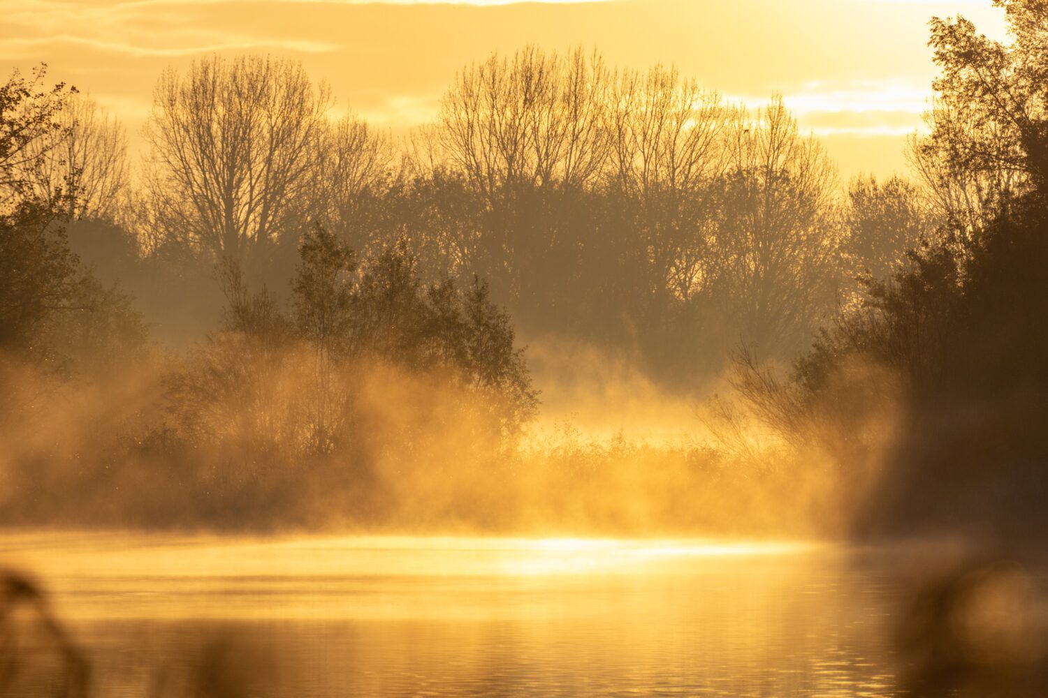 Een laag mist boven het water van recreatiegebied Geestmerambacht kleurt goed door de opkomende zon