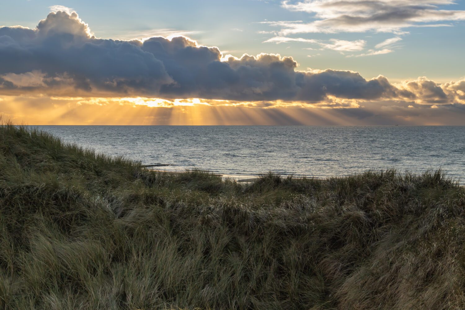 Zicht vanaf de duinen over het helmgras naar de zonneharpen boven de Noordzee