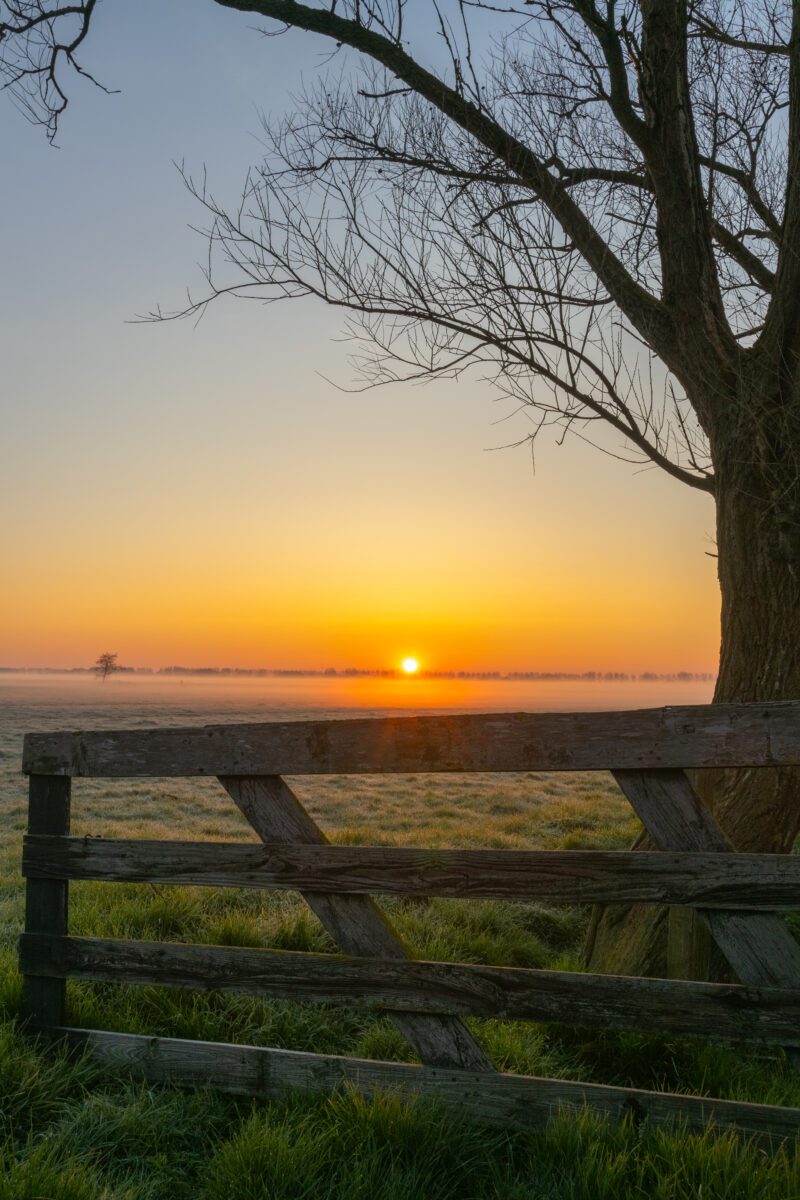 Een houten hek en boom voor het met rijp en mist bedekte weiland op een koude lenteochtend tijdens zonsopkomst
