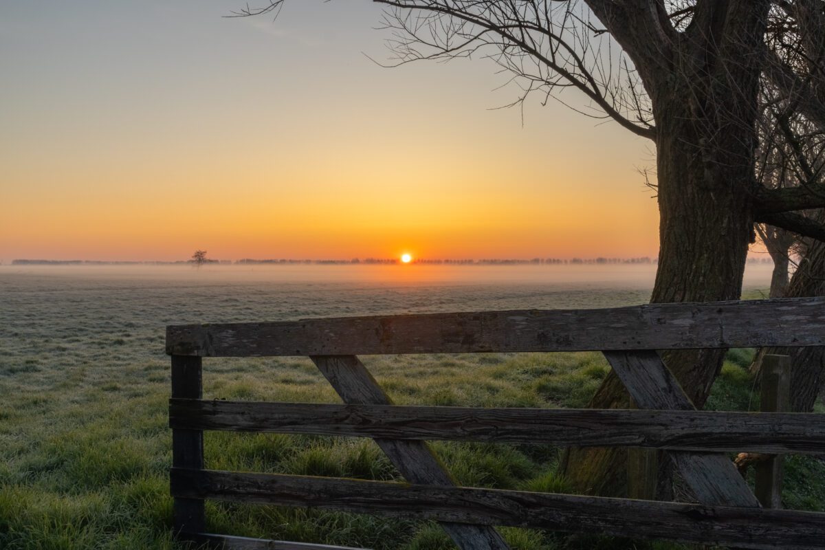 Houten hek geeft toegang tot met mist en rijp bedekt weiland waar in de verte een eenzame boom en de opkomende zon aan de horizon staan
