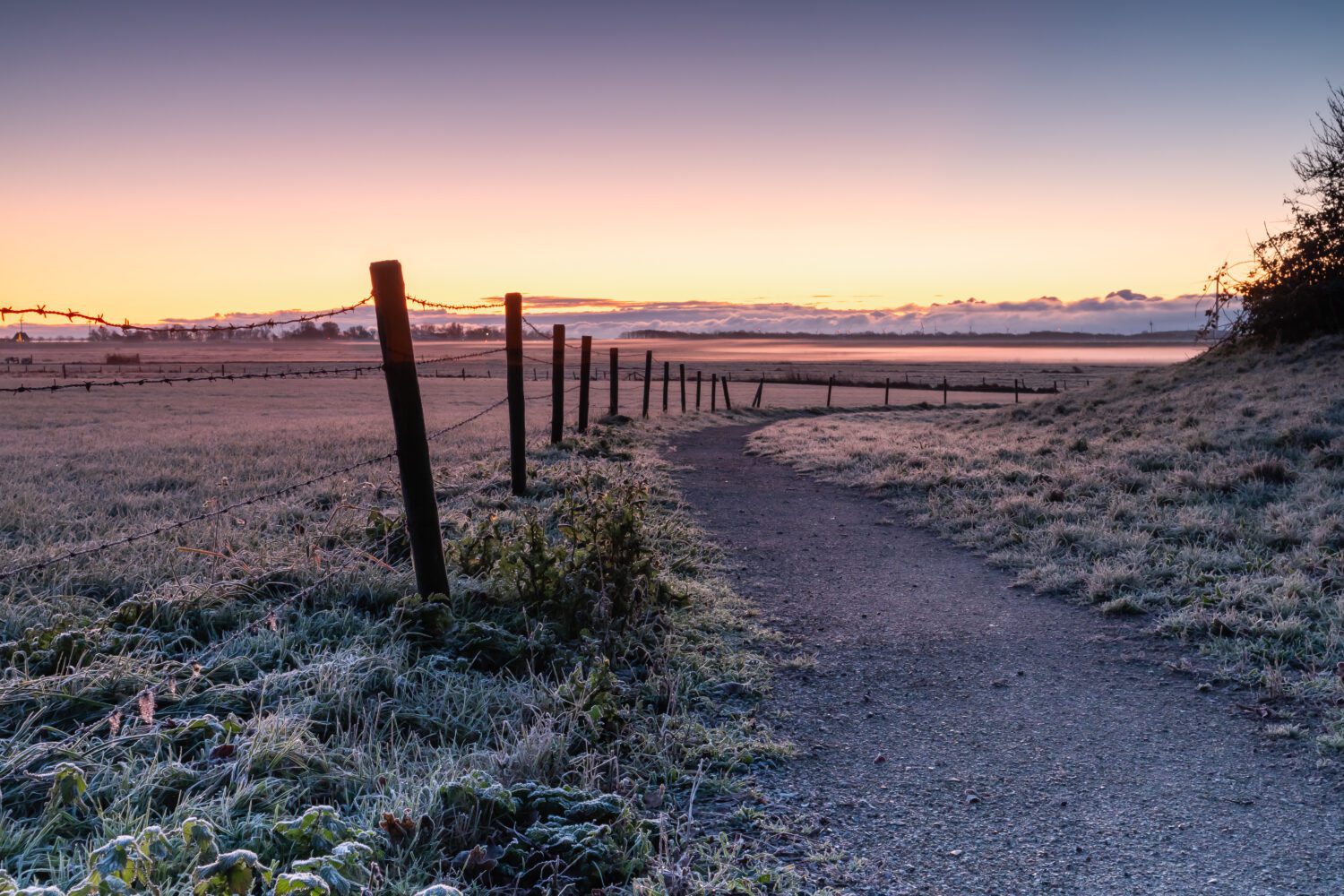 Een grindpad met hekwerk door het glooiende landschap landschap van Wieringen op een koude mistige ochtend