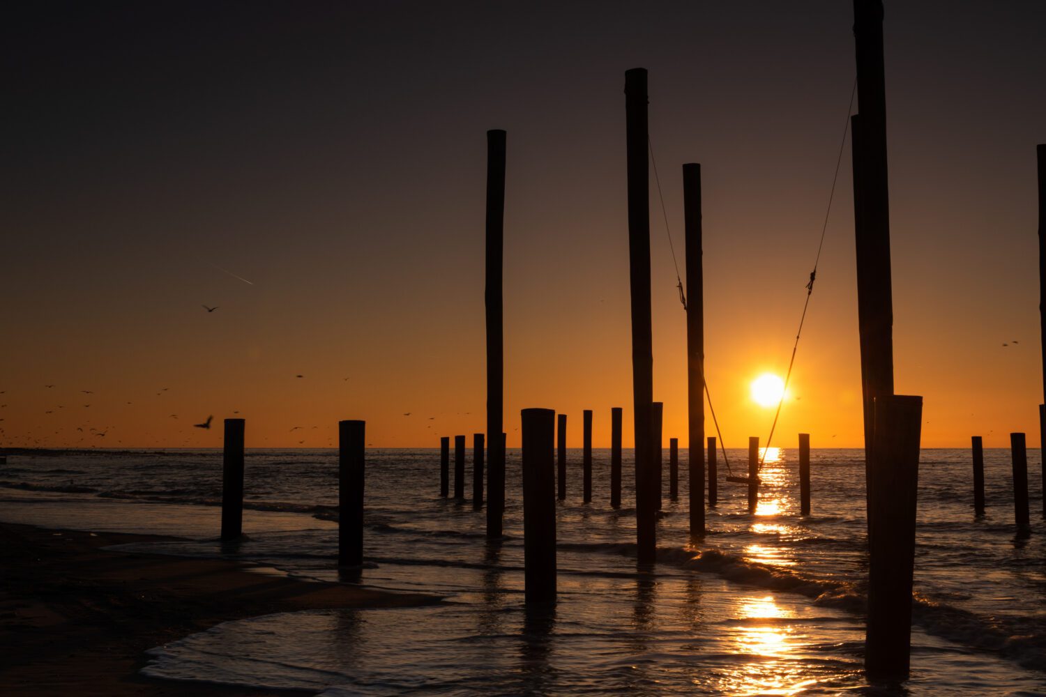 Vliegende meeuwen rondom palendorp petten in een gouden gloed met op de achtergrond de ondergaande zon