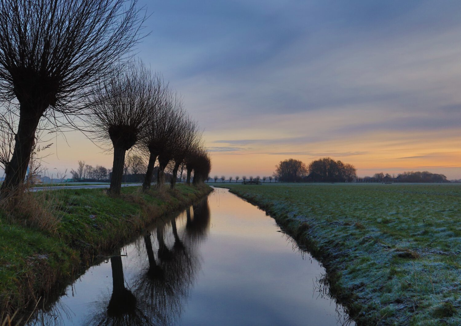 Een bevroren sloot wordt op deze koude ochtend tijdens zonsopkomst geflankeerd door een rij wilgen en een met rijp bedekt weiland