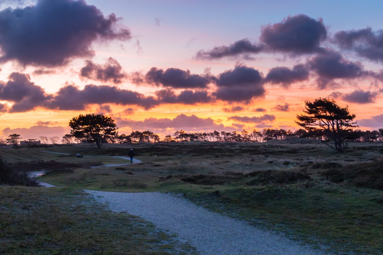 Een vroege wandelaar in de Grafelijkheidsduinen van Den Helder geniet van de kleurrijke lucht tijdens zonsopkomst