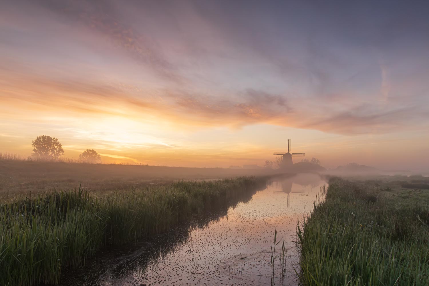 Een sloot splijt het weiland met aan het eind een molen onder een kleurrijke lucht tijdens zonsopkomst in Grootschermer