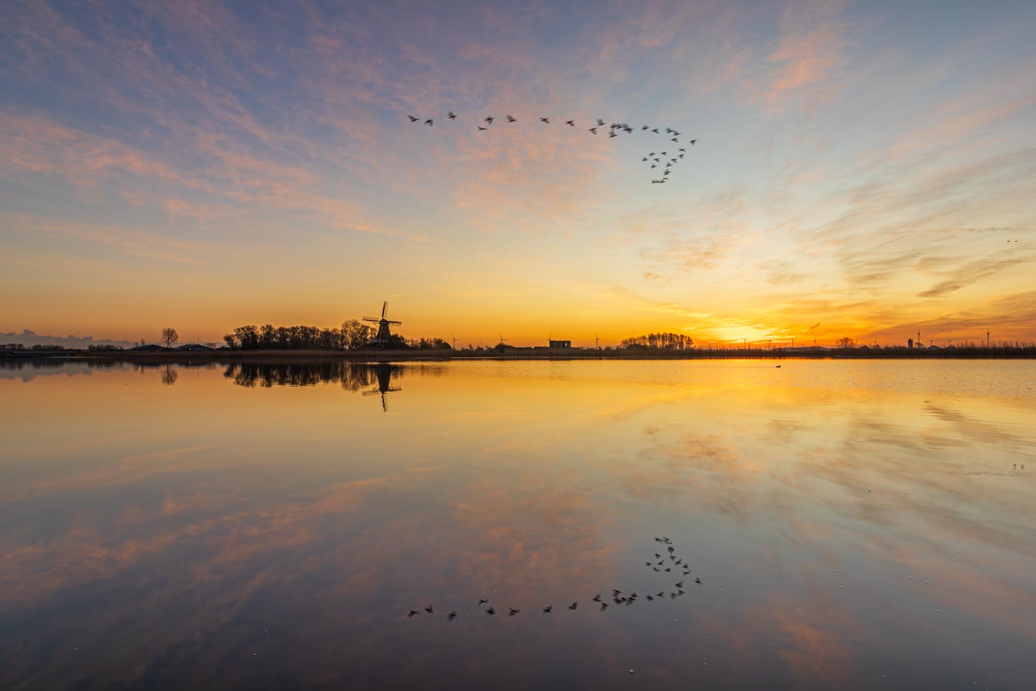 Ganzen vliegen in formatie over het water dat als spiegel fungeert en de kleurrijke wolken tijdens zonsopkomst reflecteerd