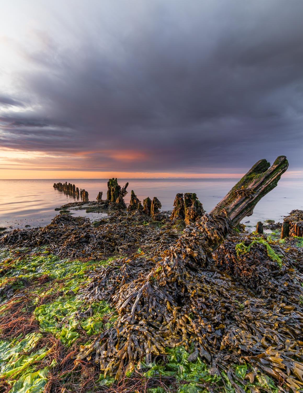 Met zeewier bedekte houten palen aan de Waddenzee onder een kleurrijke lucht met wegtrekkende dreigende wolken