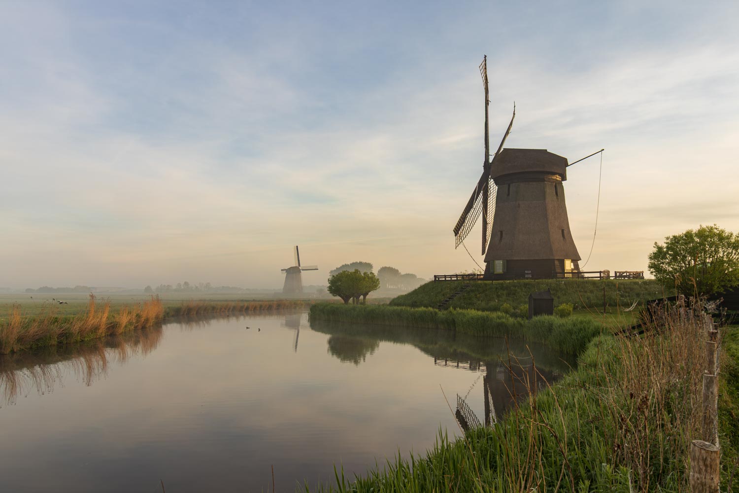 Aan het kronkelende water nabij Schermerhorn staan twee molens in een laagje ochtendmist, uitkijkend over de weilanden.